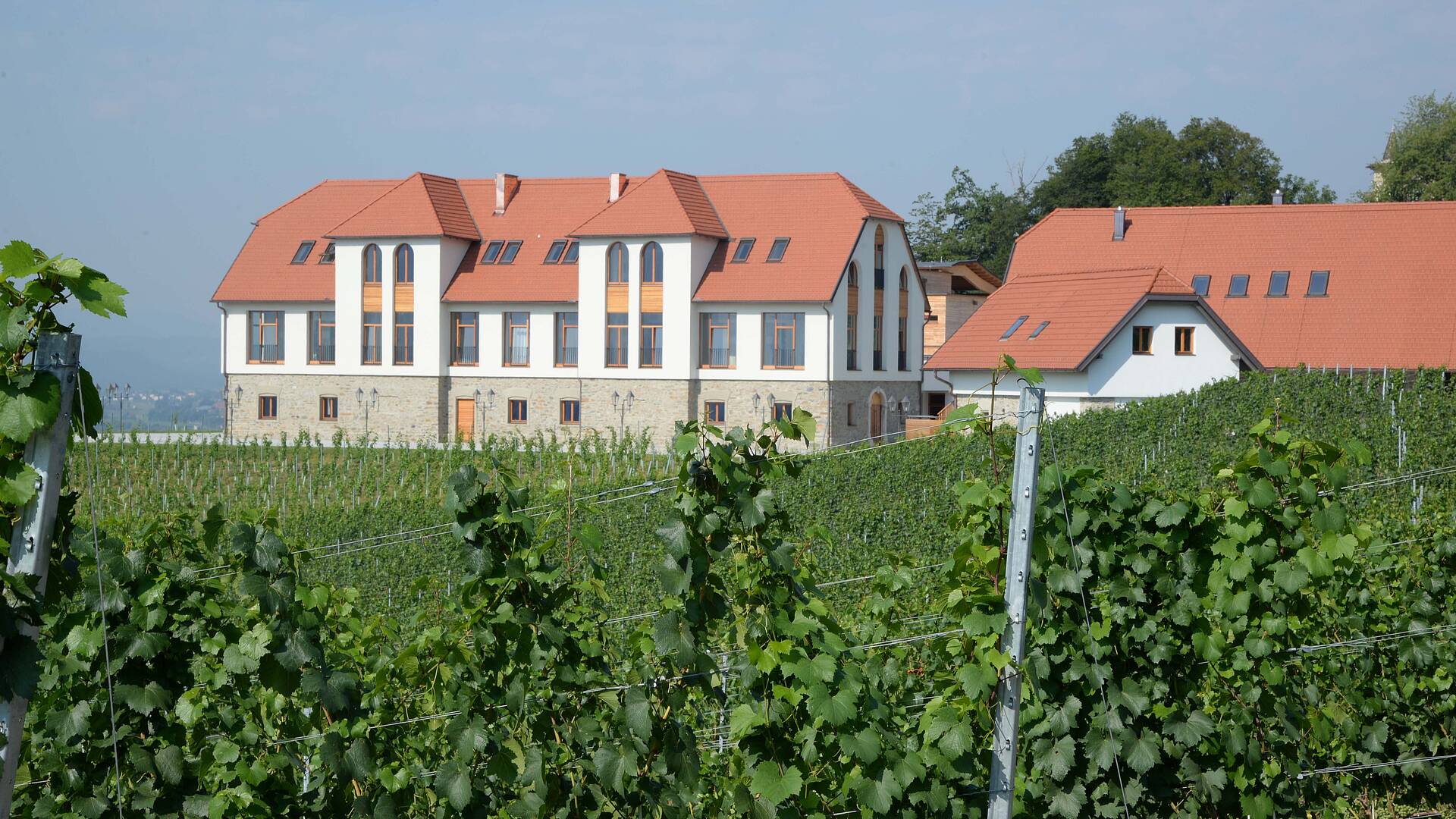 Weingut Taggenbrunn 