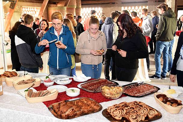 Schulprojekt Althofen und Klagenfurt