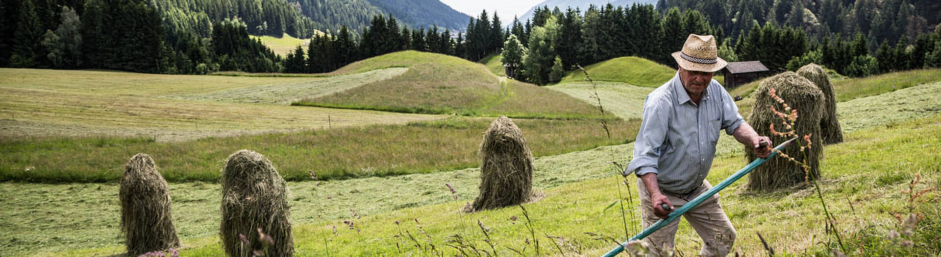 Heu einbringen im Lesachtal