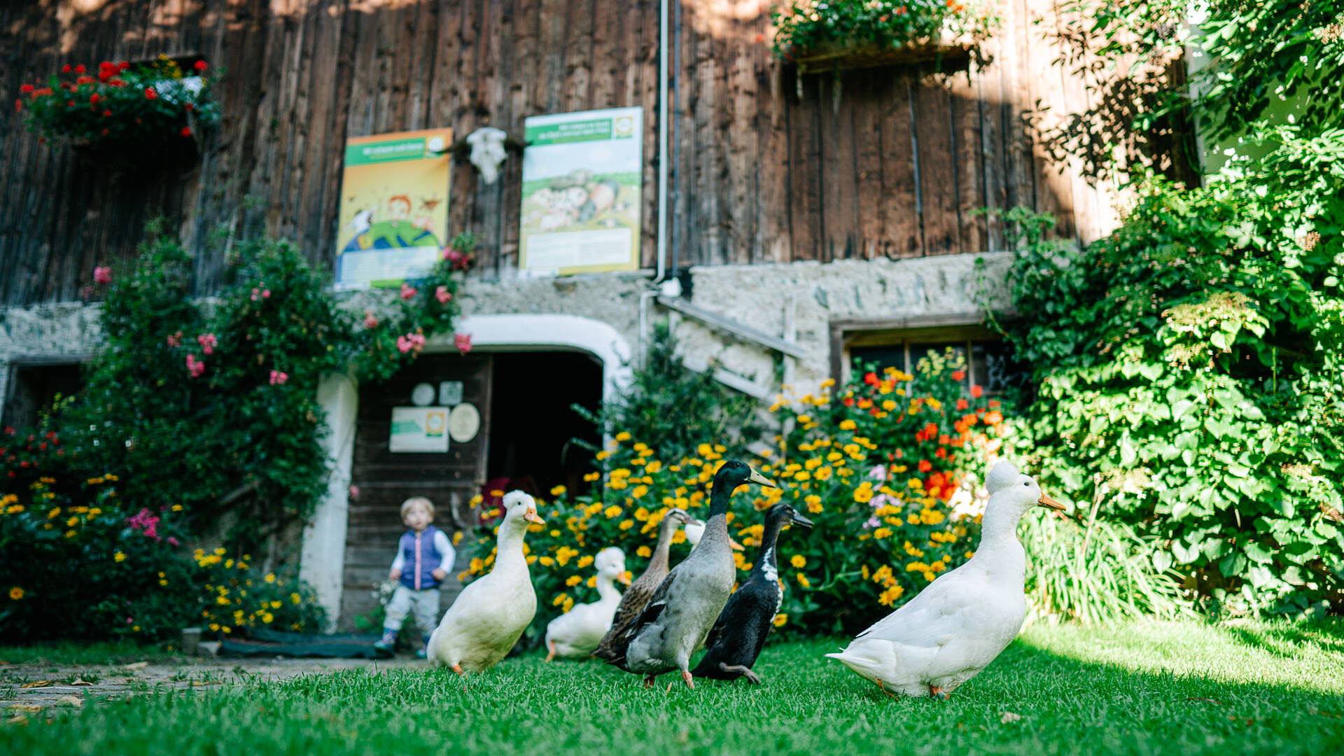 Slow Food Village Bad Kleinkirchheim