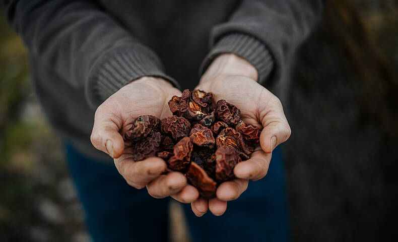 Slow Food Presidio Kletzenbirne