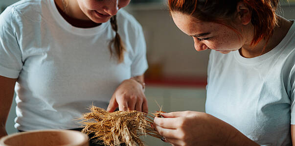 Getreide SlowFood Schulen 