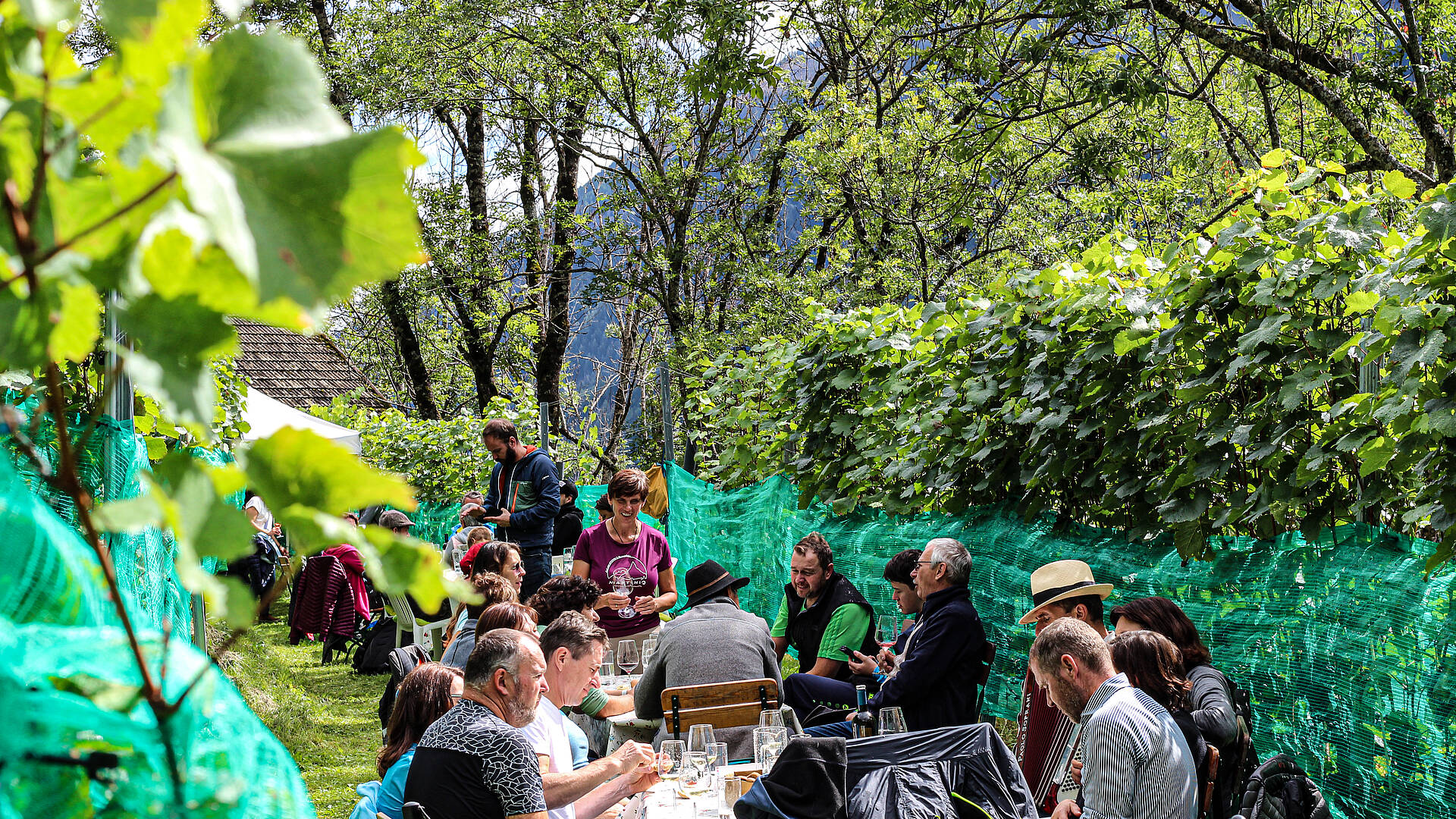 Gemütliches Zusammensitzen im Weingarten Slow Food Village Obervellach 