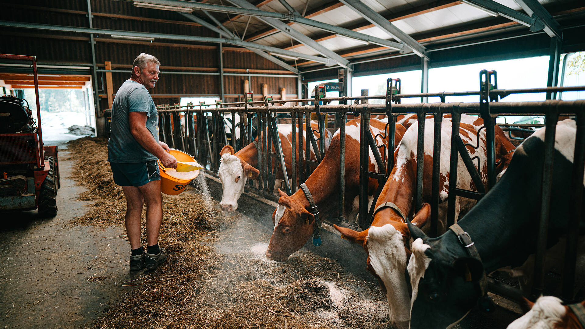 Slow Food Village Noetsch