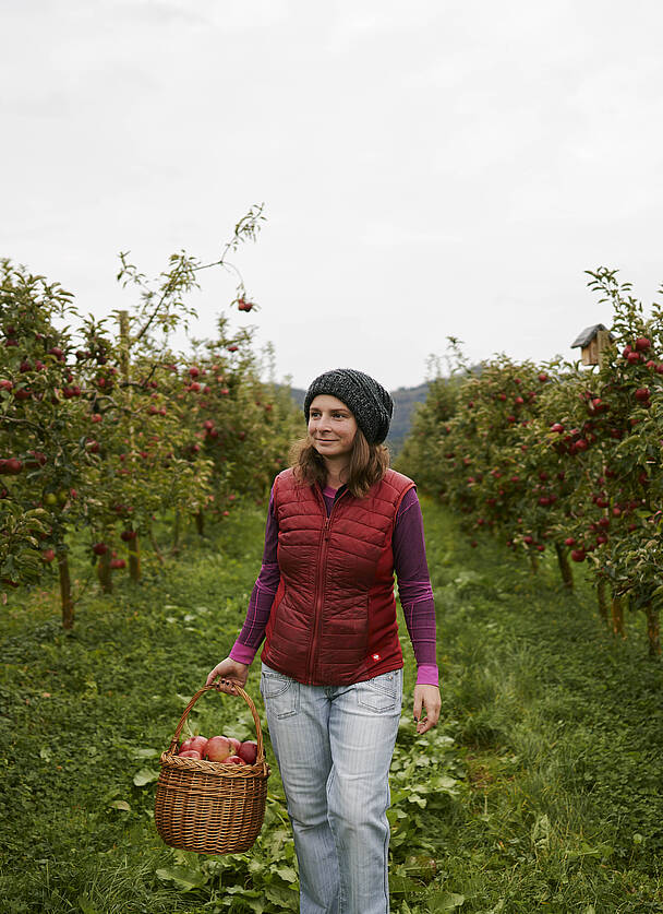 Apfel Produzenten Lavanttal