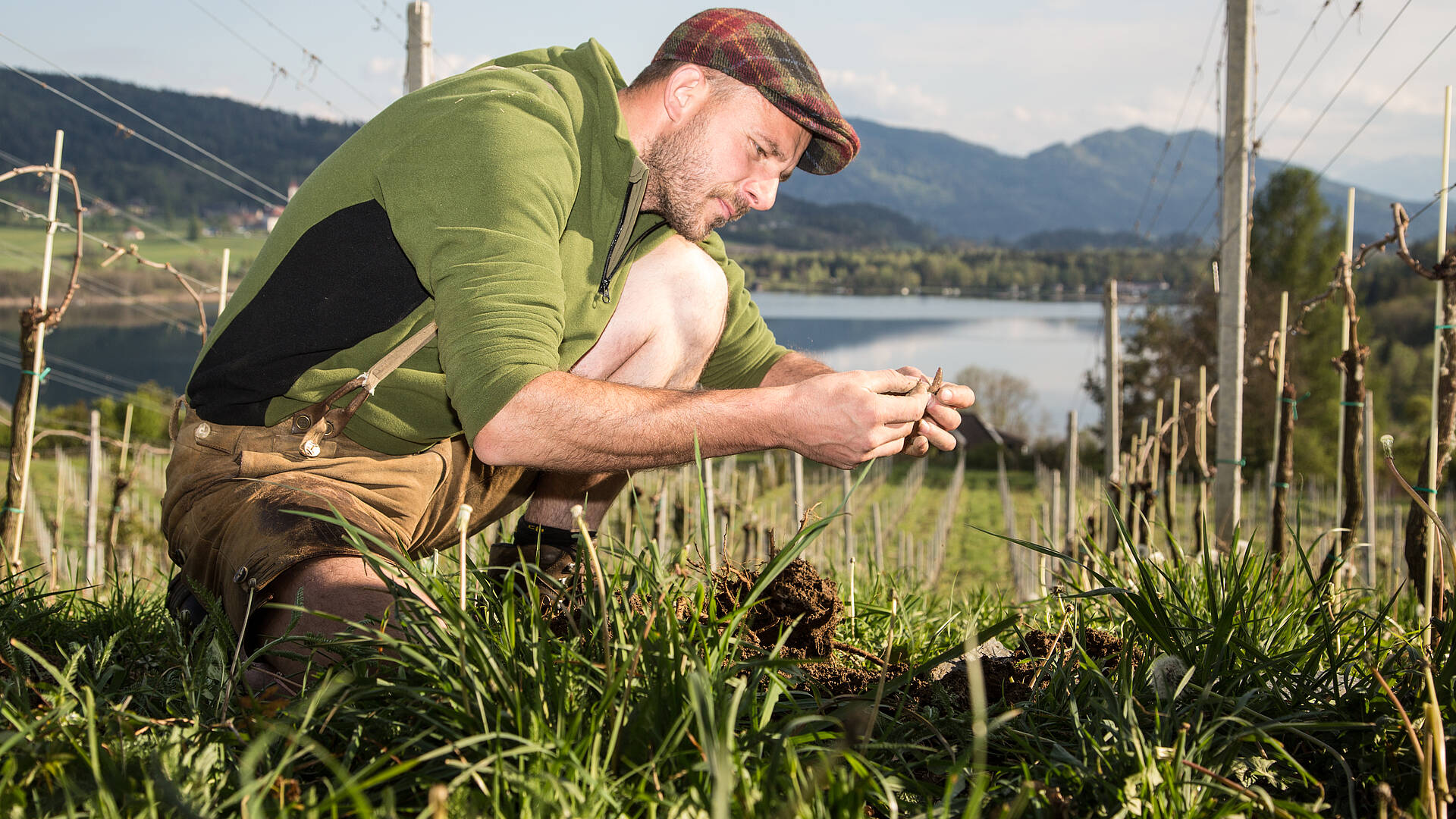 Weingut Georgium in St. Georgen am Längsee