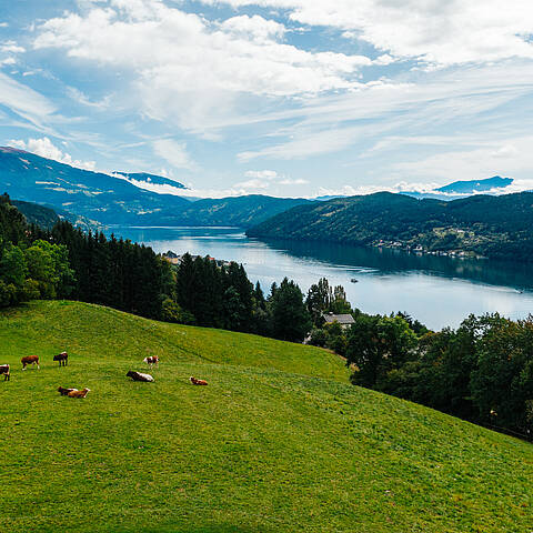 Slow Food Village Millstatt