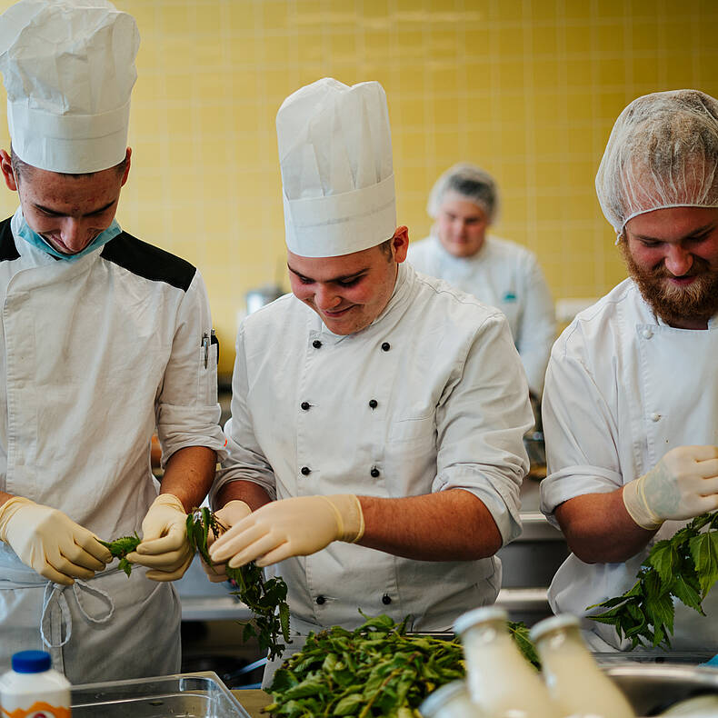 Beim Kochen SlowFood Schulen 